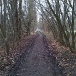 2a-Blick Zu Früheren Weg Zwischen Zentral- und Nordteil Peißnitz Nach Süden (1)