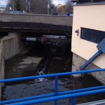 2a-Merseburg-Auslauf Klia Aus Vorderen Gotthardteich Blick Nach Nordosten (1)