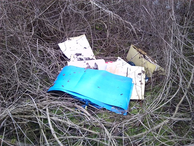 32a-Merseburg Vermüllung Im Nordostbereich Untere Geiselaue (1)