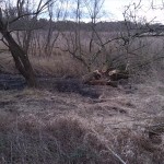 33a-Merseburg Nordbereich Untere Geiselaue Blick Nach Süden Zu Klyegraben (1)