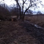 34a-Merseburg Nordbereich Untere Geiselaue Blick Nach Südosten Zu Klyegraben (1)