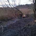 35a-Merseburg Nordbereich Untere Geiselaue Blick Nach Südwesten Zu Klyegraben (2)