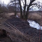 36a-Merseburg Nordbereich Untere Geiselaue Blick Nach Südosten Zu Klyegraben (1)