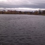 3a-Merseburg-Blick Von Auslauf Klia Aus Vorderen Gotthardteich Blick Nach Südwesten (2)