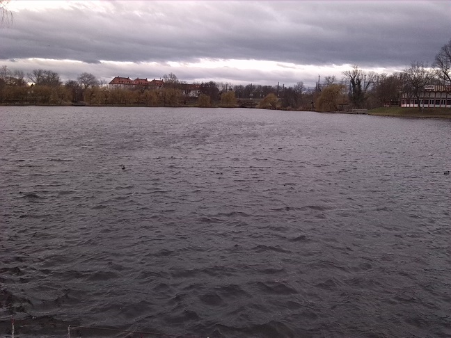 3a-Merseburg-Blick Von Auslauf Klia Aus Vorderen Gotthardteich Blick Nach Südwesten (2)
