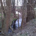 40a-Merseburg Westzipfel Untere Geiselaue Östlich Kreuzung Stangenweg & Merseburger Straße Blick Nach Südwesten Auf Klyegraben