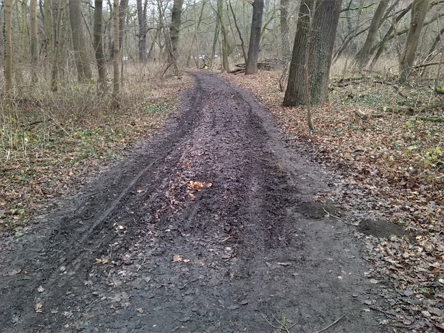 4a-Blick Zu Nordweg NSG Peißnitz Nach Nordwesten (2)