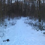 5a-Heteborn Blick Vom Ende Hakelstraße Über Den Weg Zu Domburg In Hakel Nach Süden (1)