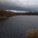 5a-Merseburg-Blick Von Auslauf Geisel Aus Vorderen Gotthardteich Blick zu Bürgergarten Nach Westen (1)