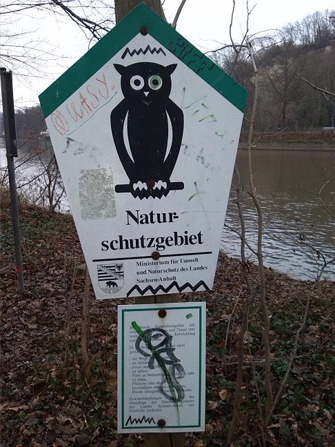 6a-Blick Von Ostweg NSG Peißnitz Nach Nordosten (1)