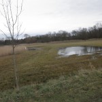 7a-Merseburg-Östlicher-Ortseingang-Zscherben-Blick-Von-Merseburger-Straße-Nach-Nordosten-Osten-In-Untere-Geiselaue