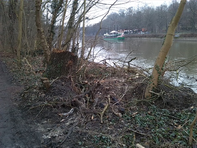8a-Blick Von Ostweg NSG Peißnitz Südostteil Nach Nordosten Zu Saale & Riveufer (1)