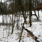 8b-Halle Ablauf Mittler Kreuzer Teich Zu Unteren Kreuzer Teich Nach Süden