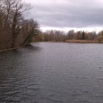 9a-Merseburg-Blick Von Fuß Bahndamm Nach Westen Auf Hinteren Gotthardteich (1)