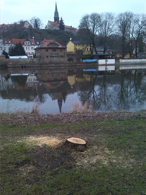 10a-Blick Vom Zugangsweg Amtsgarten In Richtung Promenade An Saale & Krug Zum Grünen Kranze Nach Nordosten (1)