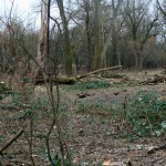 10a-Halle Blick Pulverweiden Nach Südosten