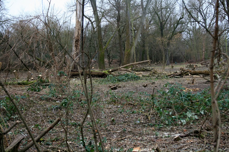 10a-Halle Blick Pulverweiden Nach Südosten