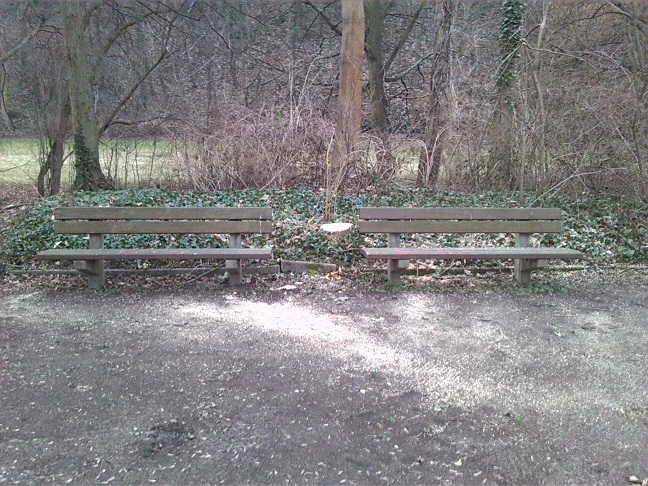 11a-Blick Zum Amtsgarten Nach Süden (2)