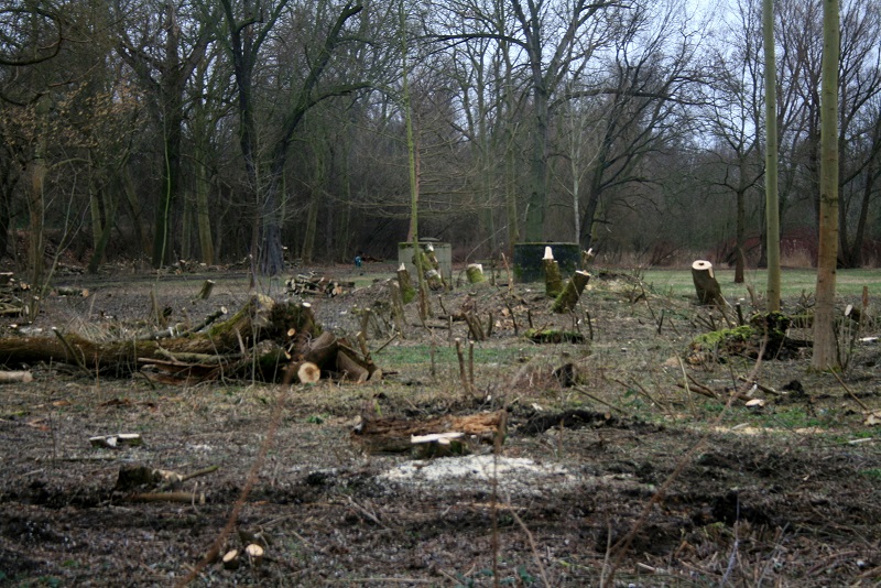 12a-Halle Blick Pulverweiden Nach Südosten