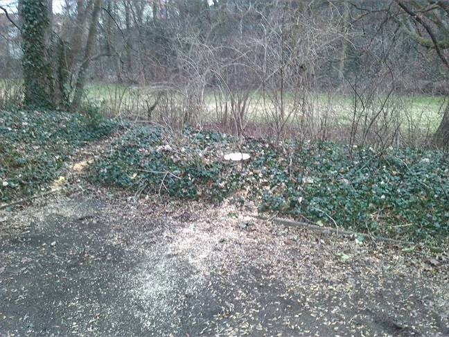 13a-Blick Zum Amtsgarten Nach Südosten (1)
