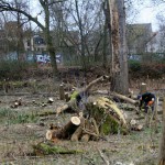 13a-Halle Blick Pulverweiden Nach Osten