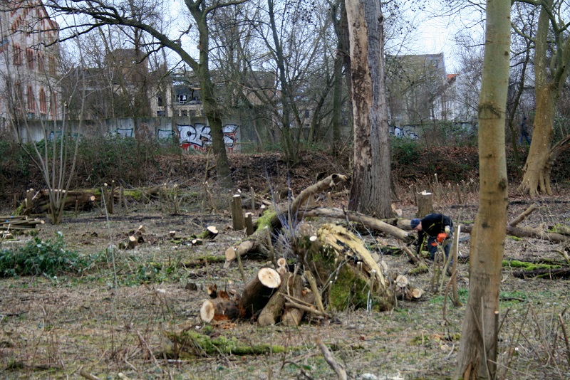 13a-Halle Blick Pulverweiden Nach Osten
