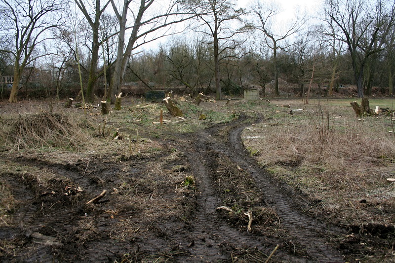 14a-Halle Blick Pulverweiden Nach Osten