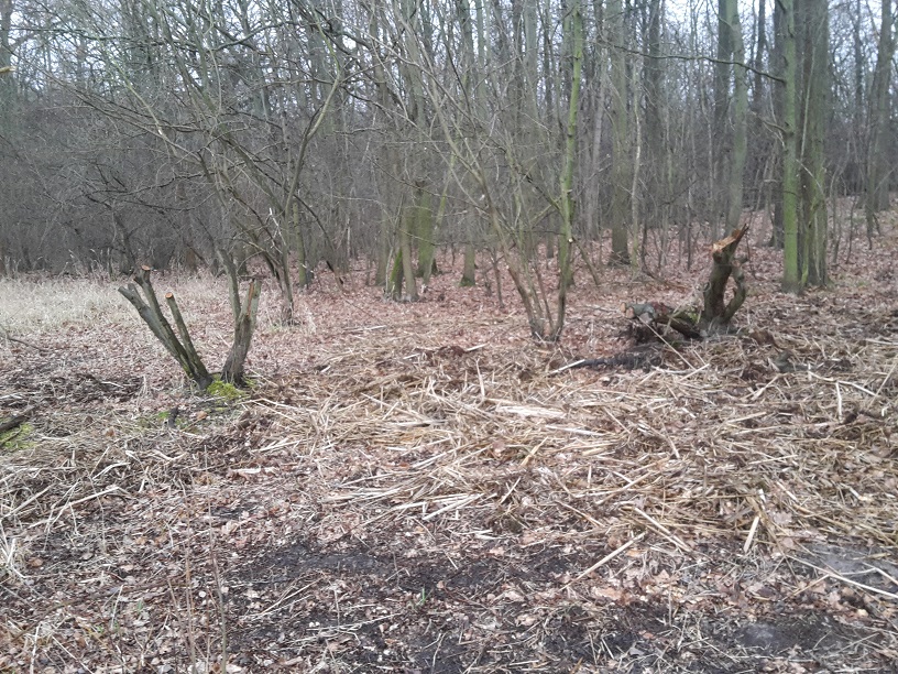 15a-Blick Von Südosten Nach Nordwesten