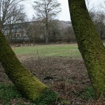 16a-Halle Blick Pulverweiden Nach Nordosten