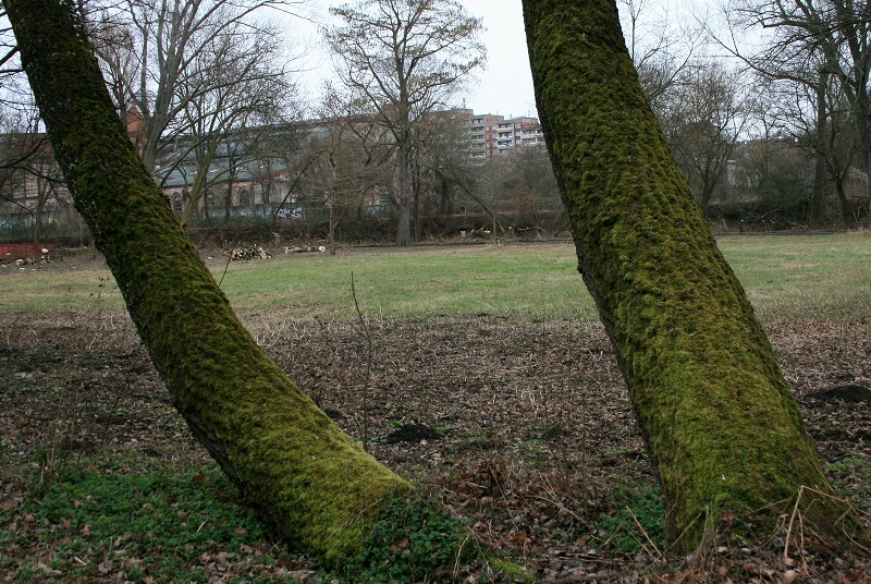 16a-Halle Blick Pulverweiden Nach Nordosten