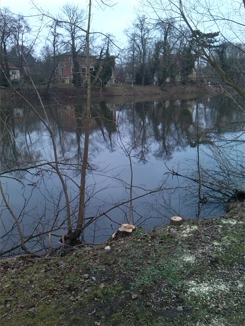 17a-Blick Von Saaleufer In Richtung Saale & Villa Papenburg Nach Nordosten (2)