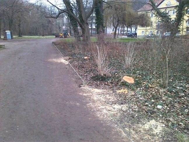22a-Blick Von Saalepromenade In Richtung Abzweig Emil-Eichhorn-Straße & Wasserweg Nach Nordosten (1)