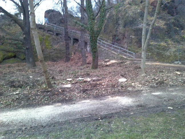 24a-Blick Von Saalepromenade In Richtung Klausberge Nach Norden (1)