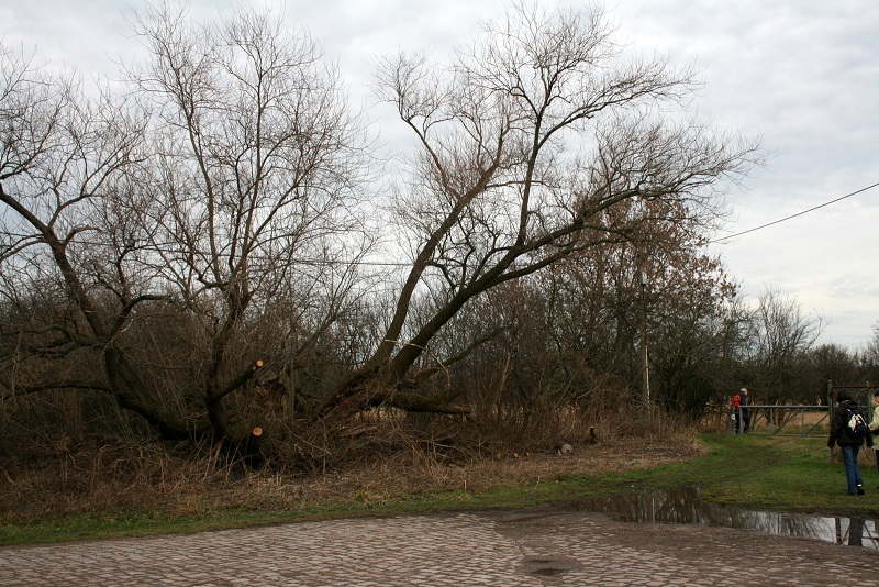 24a-Halle Planena Weg Zur Gerwische