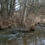 26a-Halle Gerwische Blick Nach Nordosten