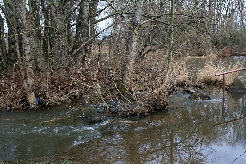 26a-Halle Gerwische Blick Nach Nordosten