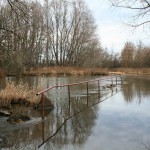 27a-Halle Gerwische Blick Nach Nordosten