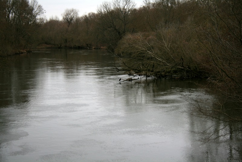 29a-Halle Untere Aue Weg Zwischen Pulverweiden & Rabeninsel Blick Von Brücke Zu Rabeninsel Nach Nordwesten Zu Wilder Saale