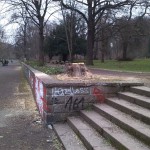 2a-Blick Vom Zugangsweg Amtsgarten In Richtung Klausberge Nach Nordosten (1)