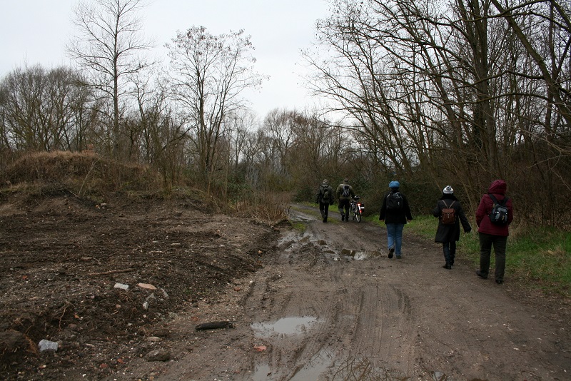 2a-Halle Blick Zum Holzplatz Nach Westen