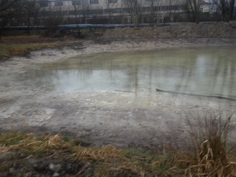 2a-Halle Dölauer Heide Harzklubstieg Weiher Blick Nach Südosten