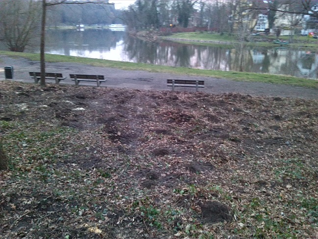 30a-Blick Von Saalepromenade Aufgang Zu Klausberge In Richtung Saale Kröllwitz Burg Giebichenstein (1)
