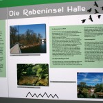 30a-Halle-Rabeninsel Nordostteil Schlenkerweg