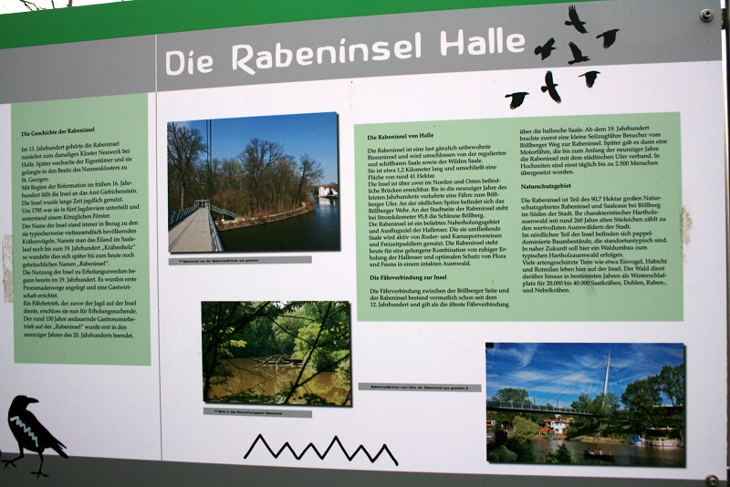 30a-Halle-Rabeninsel Nordostteil Schlenkerweg