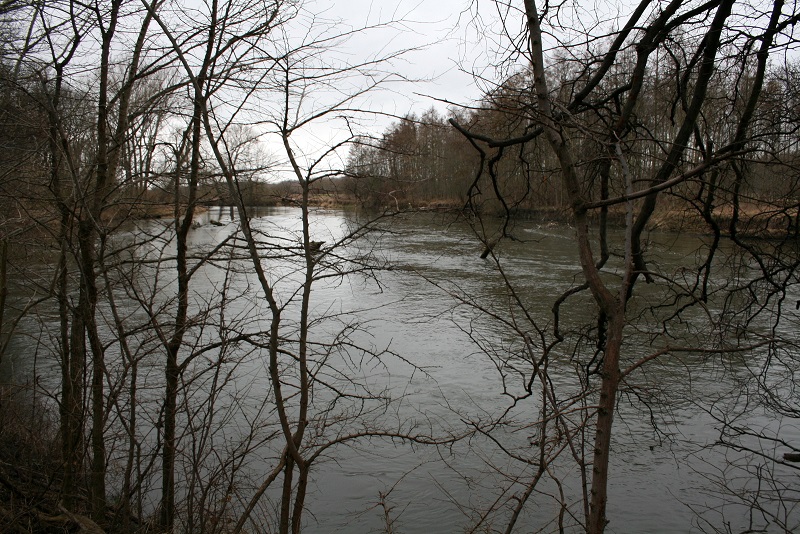 37a-Halle-Rabeninsel Westteil Schlenkerweg Blick Nach Südwesten Flussaufwärts Zu Prallhang Wilde Saale