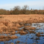 37a-Halle-Saale-Elster-Aue Mit Blick Nach Halle Ammendorf Nach Nordosten