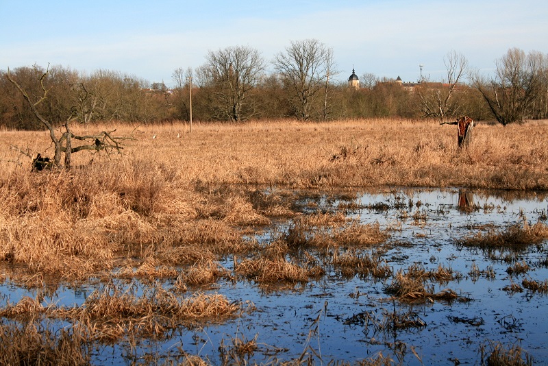 37a-Halle-Saale-Elster-Aue Mit Blick Nach Halle Ammendorf Nach Nordosten