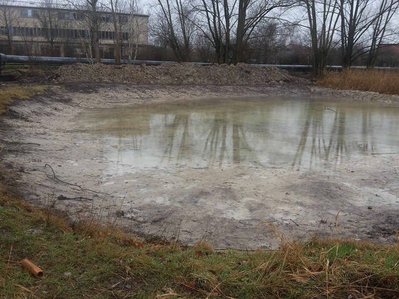 3a-Halle Dölauer Heide Harzklubstieg Weiher Blick Nach Südosten