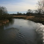 43a-Halle_Saale-Elster-Aue Blick Von Schafbrücke Auf Weiße Elster Flussaufwärts Nach Südosten