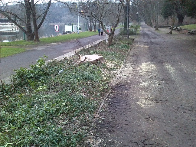4a-Blick Vom Zugangsweg Amtsgarten In Richtung Klausberge Nach Nordosten (1)